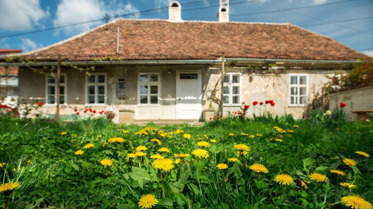 Gaestehaus Fogarasch Fagaras Exterior photo